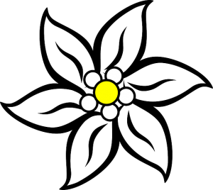 Edelweiss PNG-66292